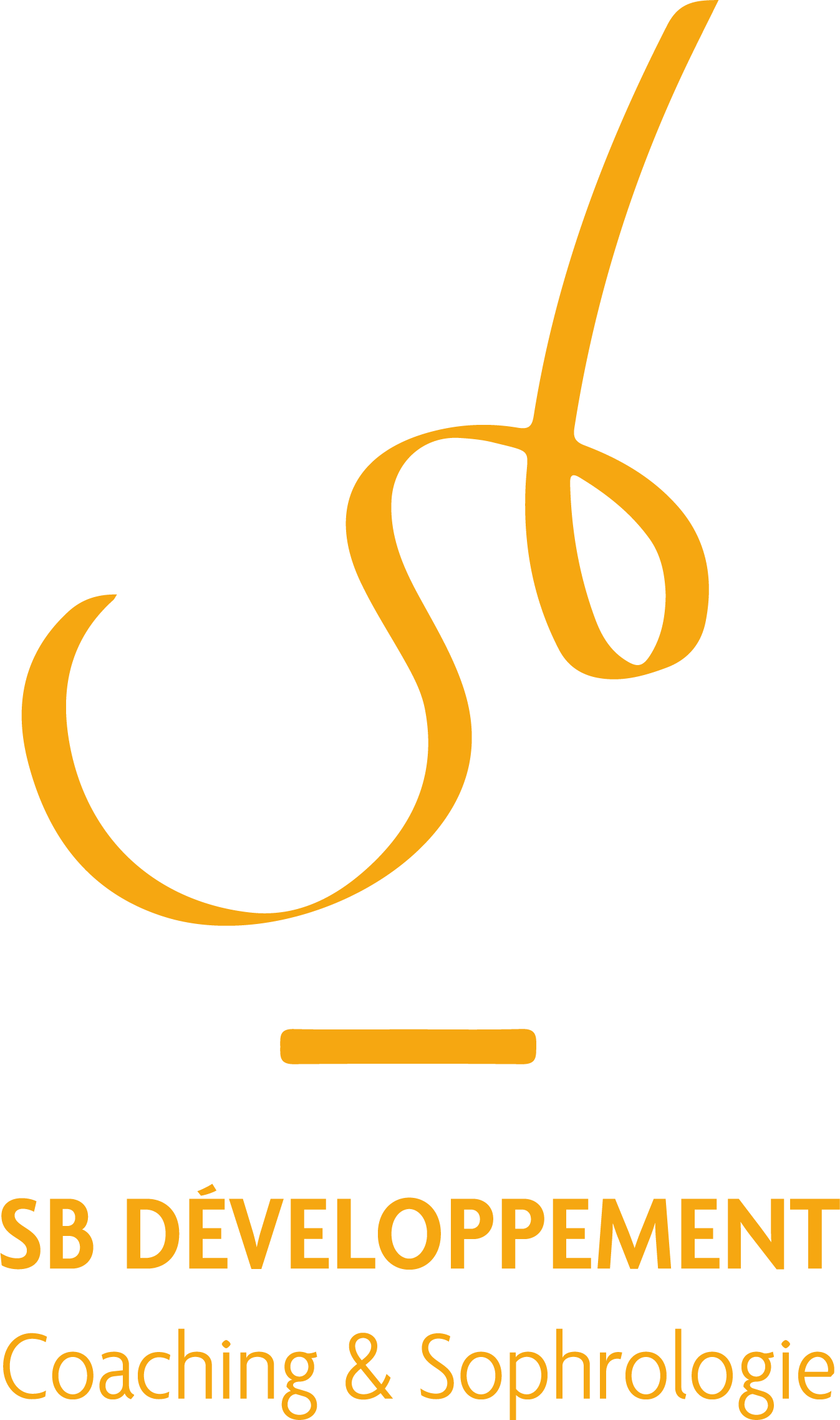SB DÉVELOPPEMENT